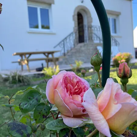 Maison Proche Et Centre Prázdninový dům *